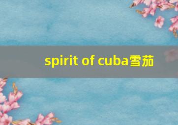 spirit of cuba雪茄